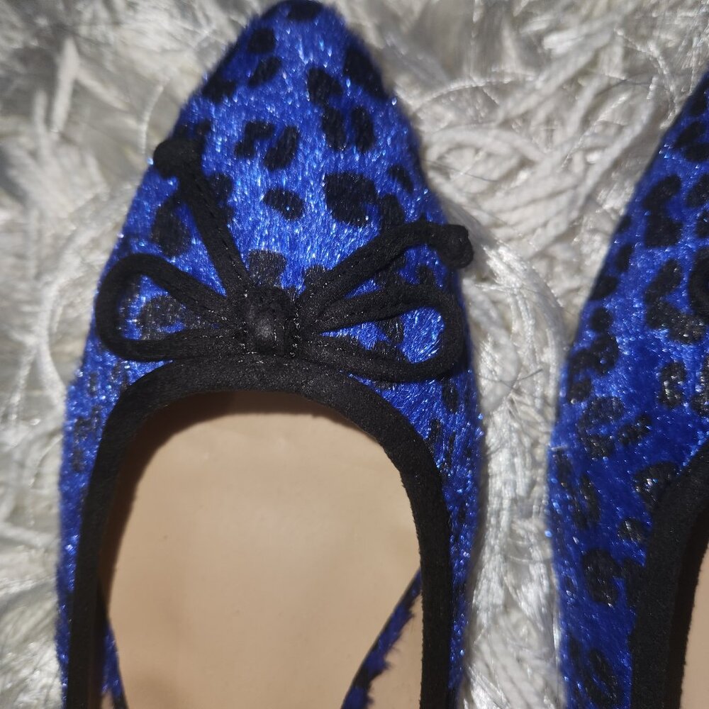 Royal Blue and Black Flat Shoe - Size 12 New in the Box